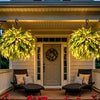 Lighted Artificial Boston Fern
