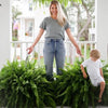 Lighted Artificial Boston Fern