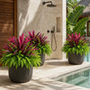 UV-Resistant Artificial Fern And Red Dracaena Plant